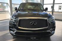 Infiniti QX80 Luxe Proactive