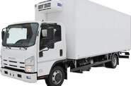 Isuzu NQR Base