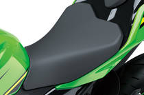 Kawasaki Ninja Base