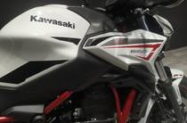 Kawasaki Z Base