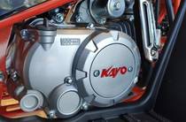 Kayo 125 Base