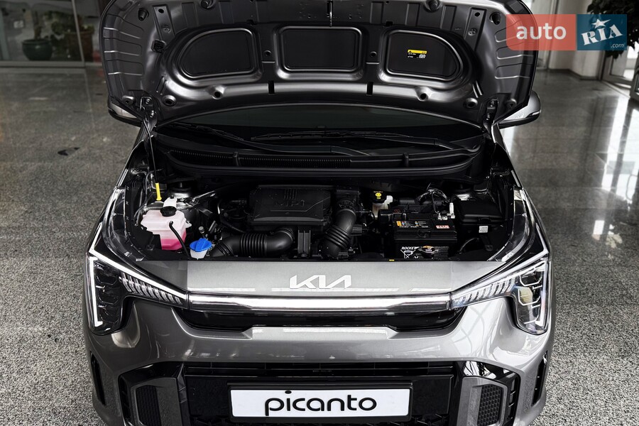Kia Picanto - фото 25