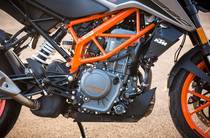 KTM Duke Base