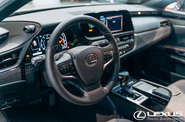 Lexus ES Business