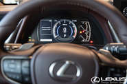 Lexus ES Business