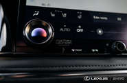 Lexus LM Luxury