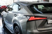 Lexus NX Sport+