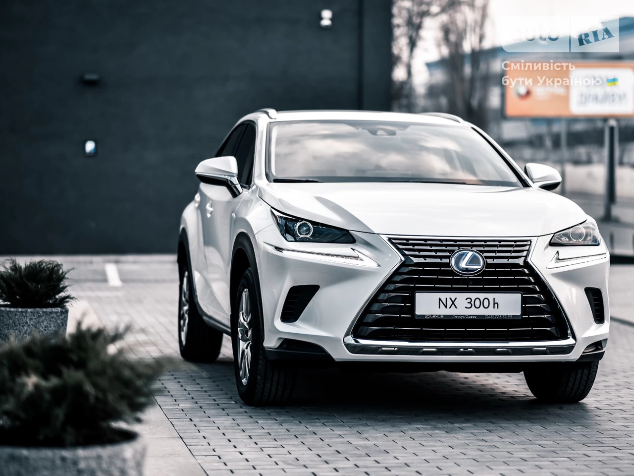 Lexus NX Business+