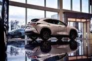 Lexus NX Business