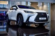 Lexus NX Business