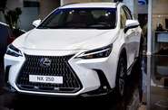 Lexus NX Business