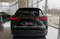 Lexus NX Business