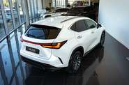 Lexus NX Urban