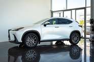 Lexus NX Urban