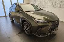 Lexus NX Urban