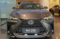 Lexus NX Business