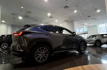 Lexus NX Urban