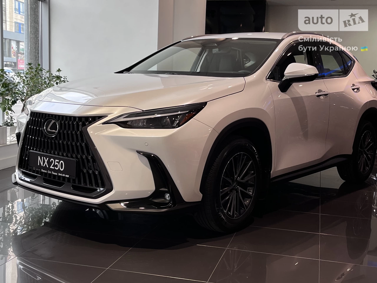 Lexus NX Business+