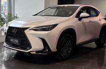 Lexus NX Business+