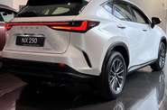 Lexus NX Business+