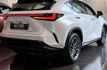 Lexus NX Business+