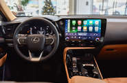 Lexus NX Luxury