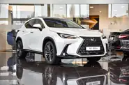 Lexus NX Luxury