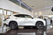 Lexus NX Luxury