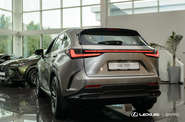 Lexus NX Urban