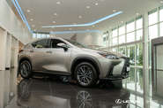 Lexus NX Urban