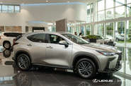Lexus NX Urban
