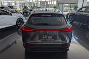Lexus NX Urban