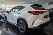 Lexus NX Executive+