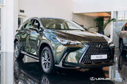 Lexus NX Urban