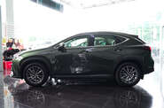 Lexus NX Urban