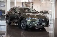 Lexus NX Executive+