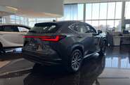 Lexus NX Urban