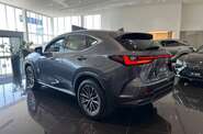 Lexus NX Urban