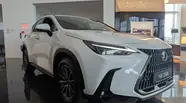 Lexus NX Executive