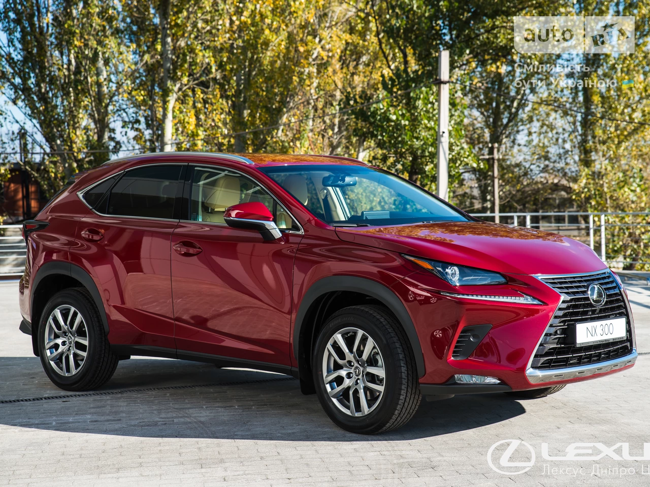 Lexus NX Executive