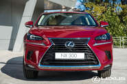 Lexus NX Executive