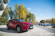 Lexus NX Executive