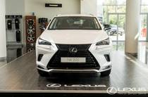 Lexus NX Sport+