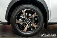 Lexus NX Sport+