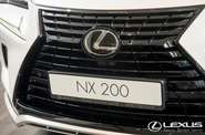 Lexus NX Sport+