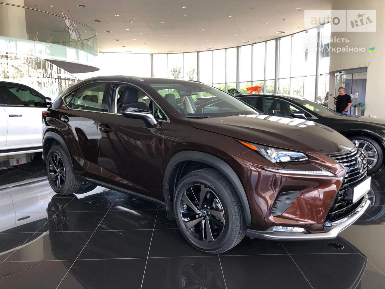 Lexus NX Sport+