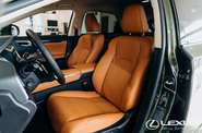 Lexus RX Sport+