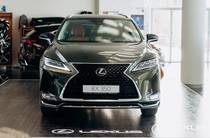 Lexus RX Sport+