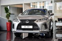 Lexus RX Business