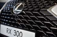 Lexus RX Business